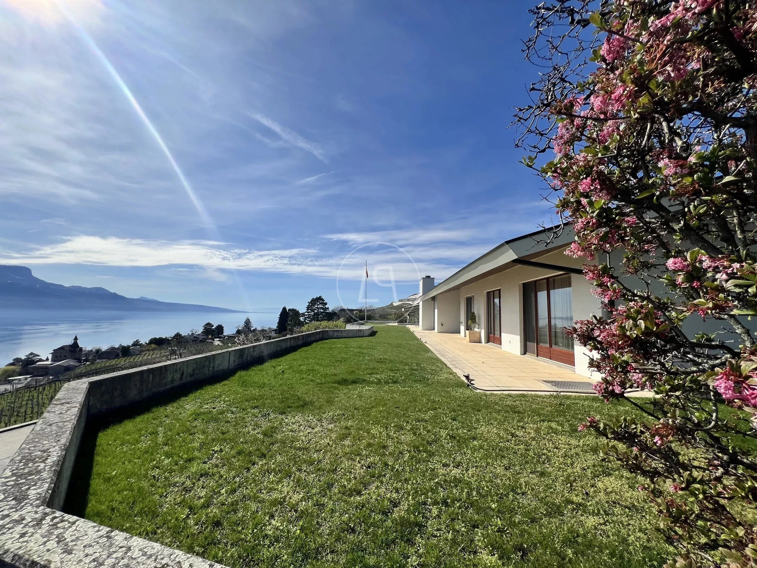 Seeblick-Garten mit moderner Villa