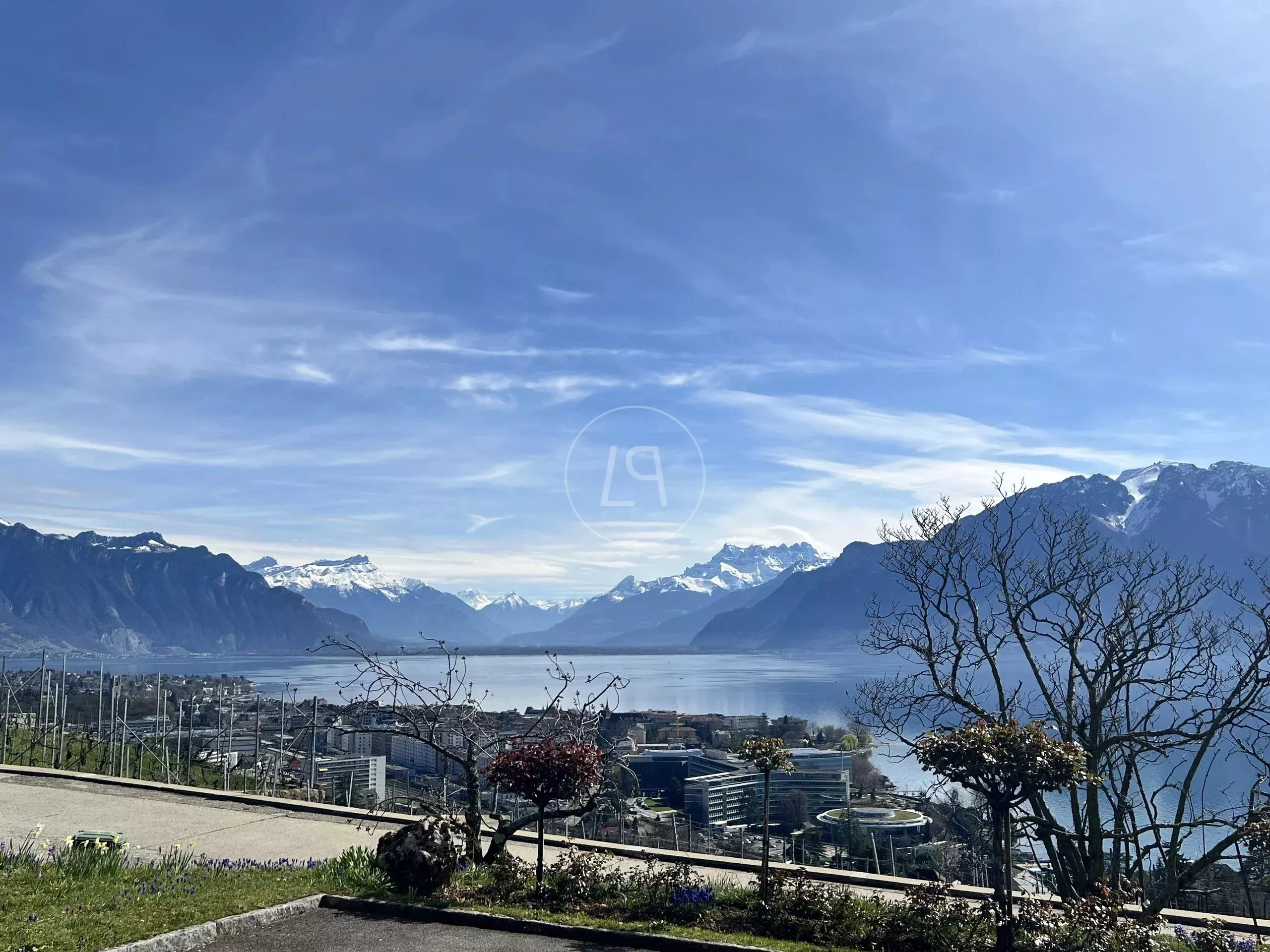 Panoramischer Seeblick mit Alpenkulisse