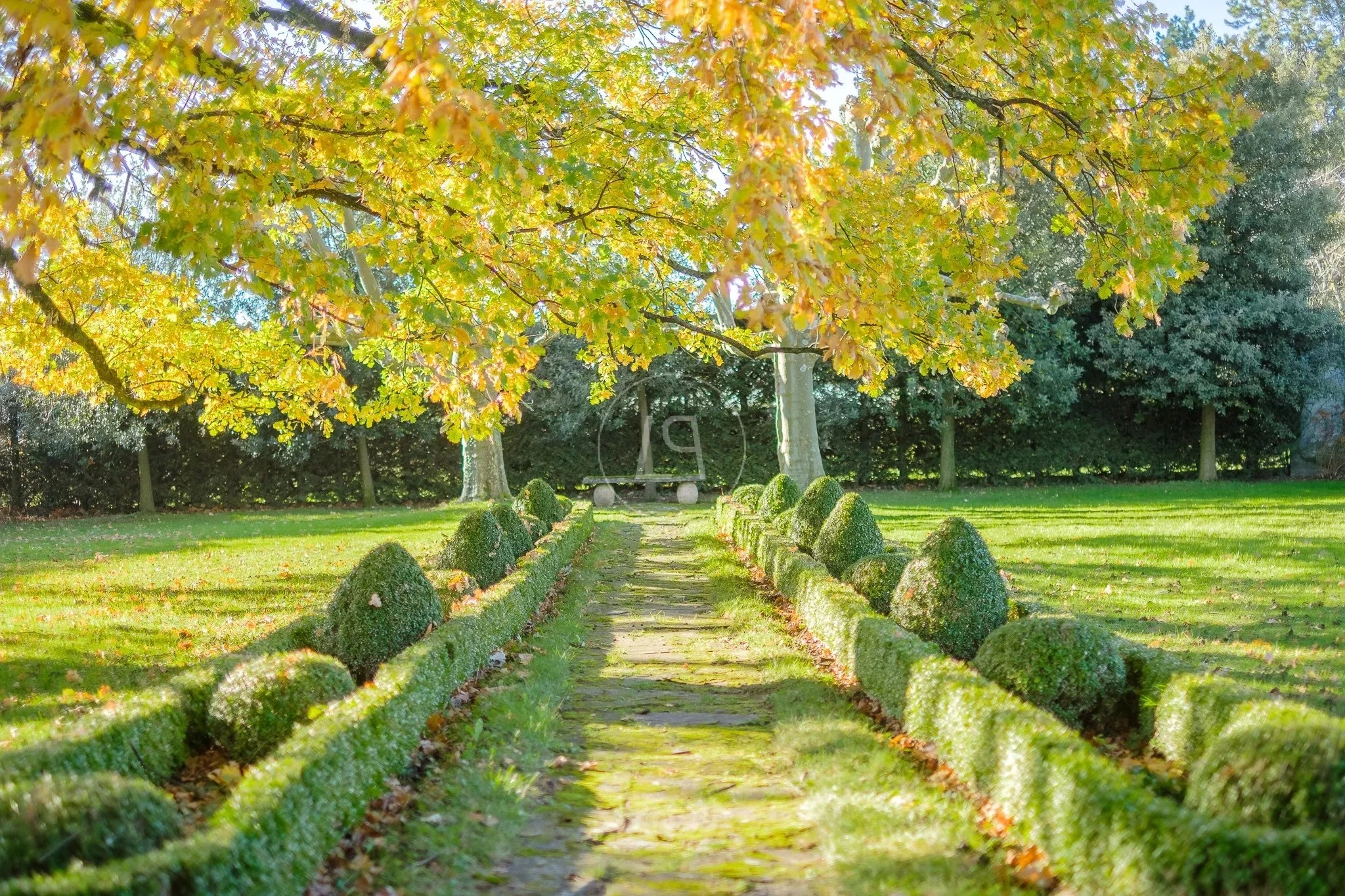 Gartenweg unter Baumkronen