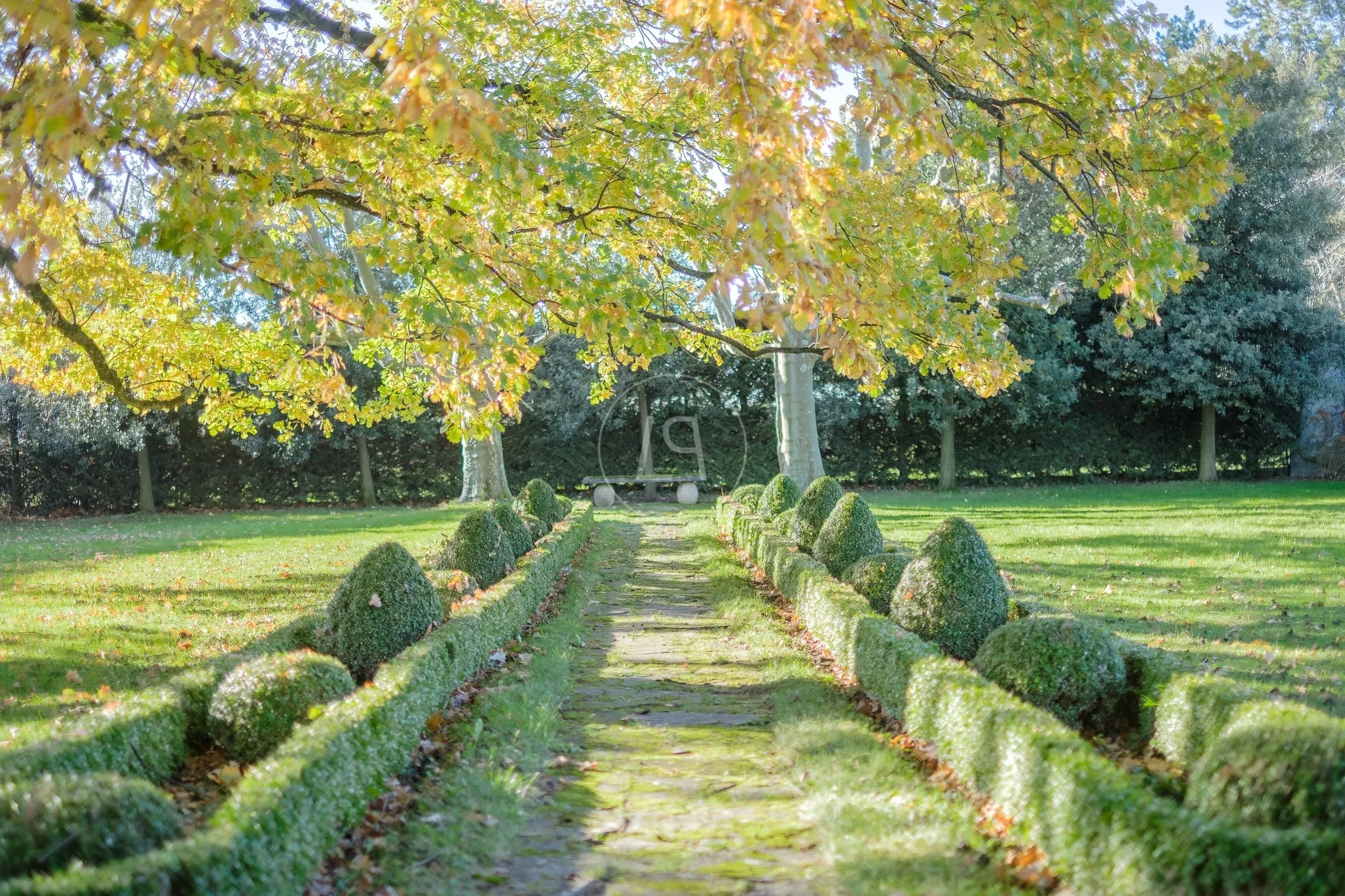 Gartenanlage mit symmetrischem Weg