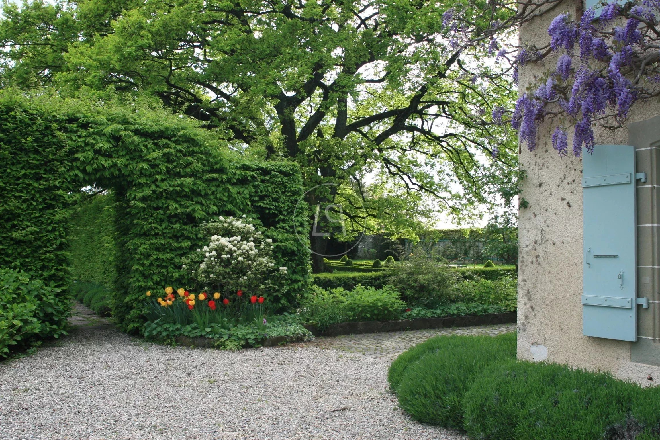 Gartenansicht mit blühender Pergola