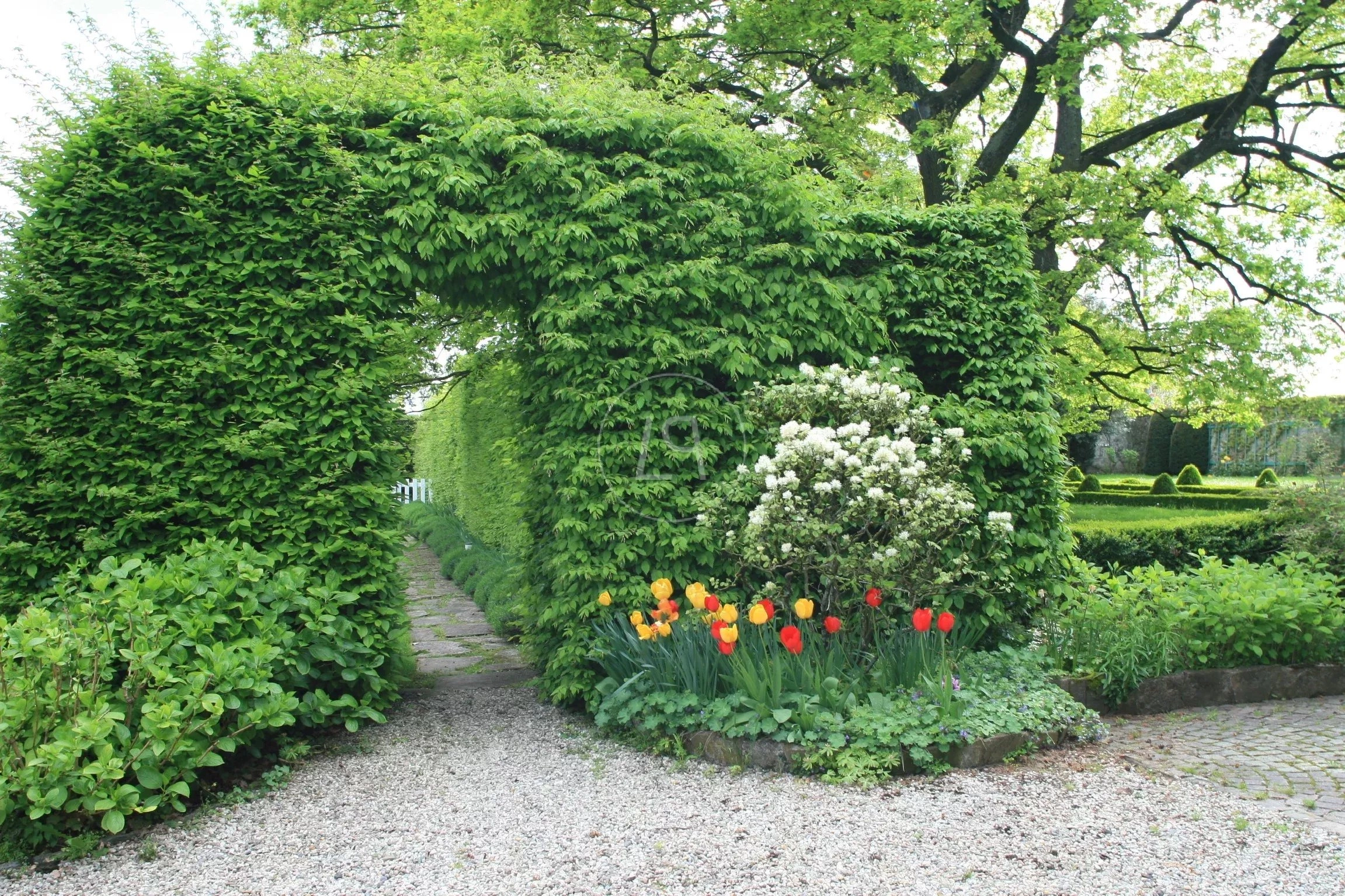 Formaler Garten mit Rankbogen