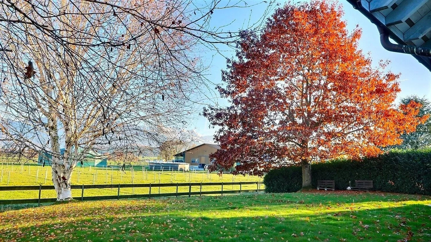 Garten mit Herbstbäumen und Weitblick