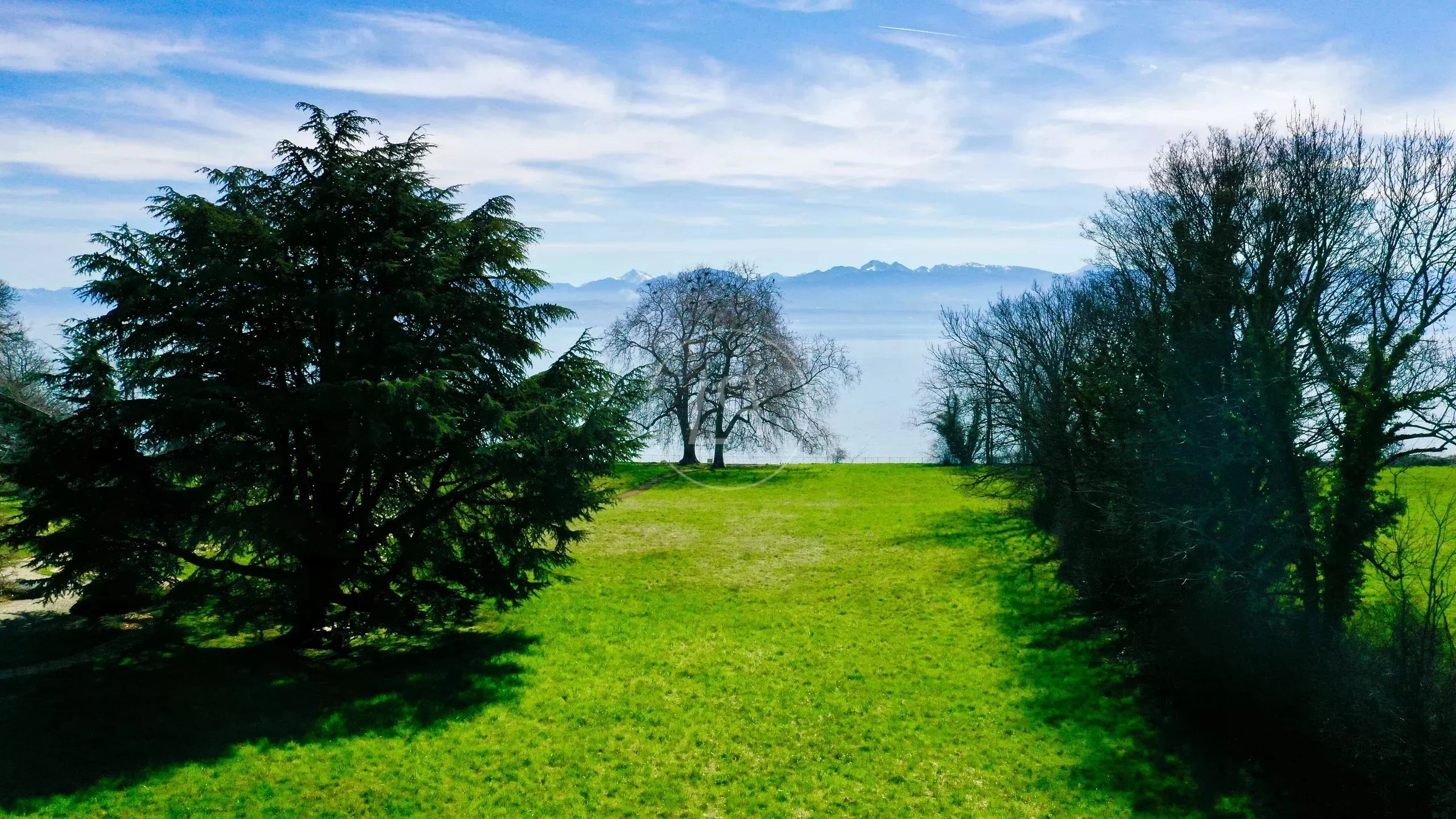Seeblick mit Wiese und Bäumen