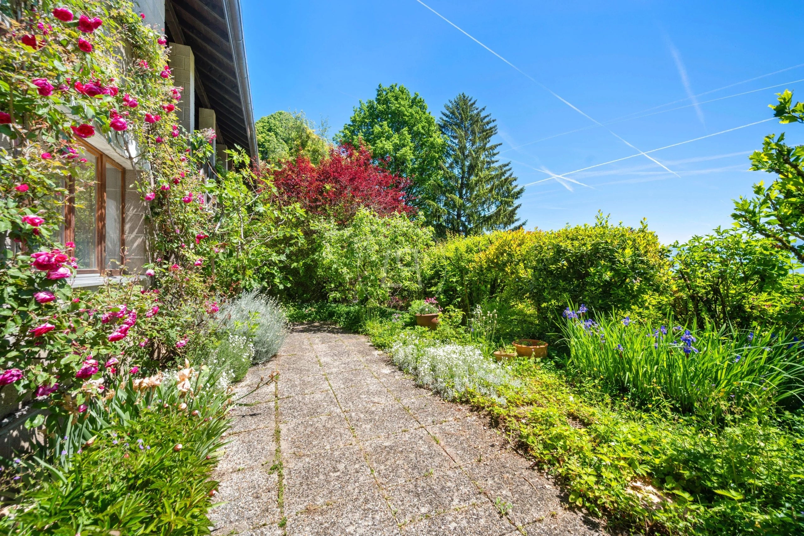 Blühender Gartenweg am Haus