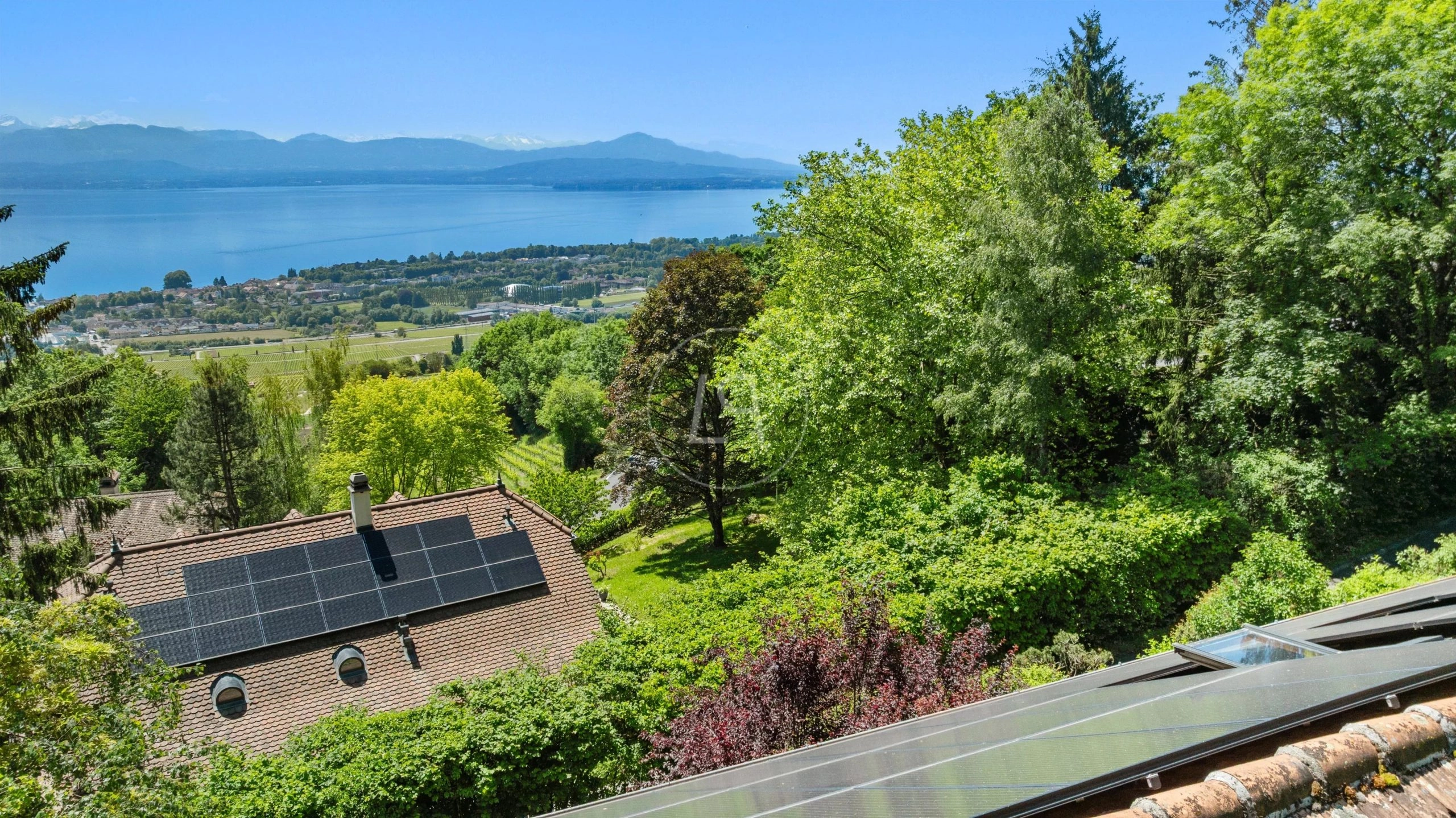 Seeblick über ein grünes Grundstück mit Solardach