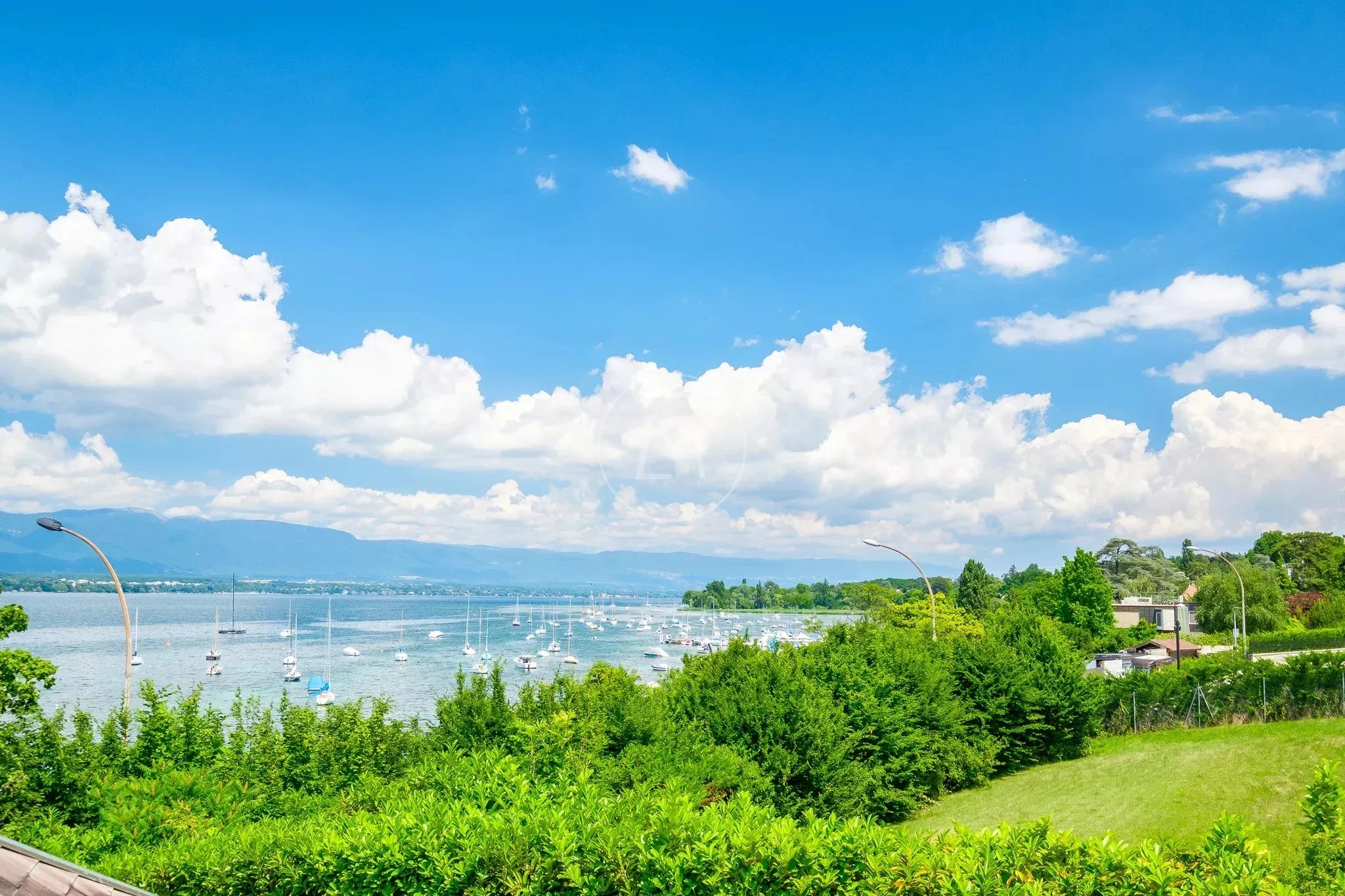 See- und Bergblick über eine grüne Uferlandschaft