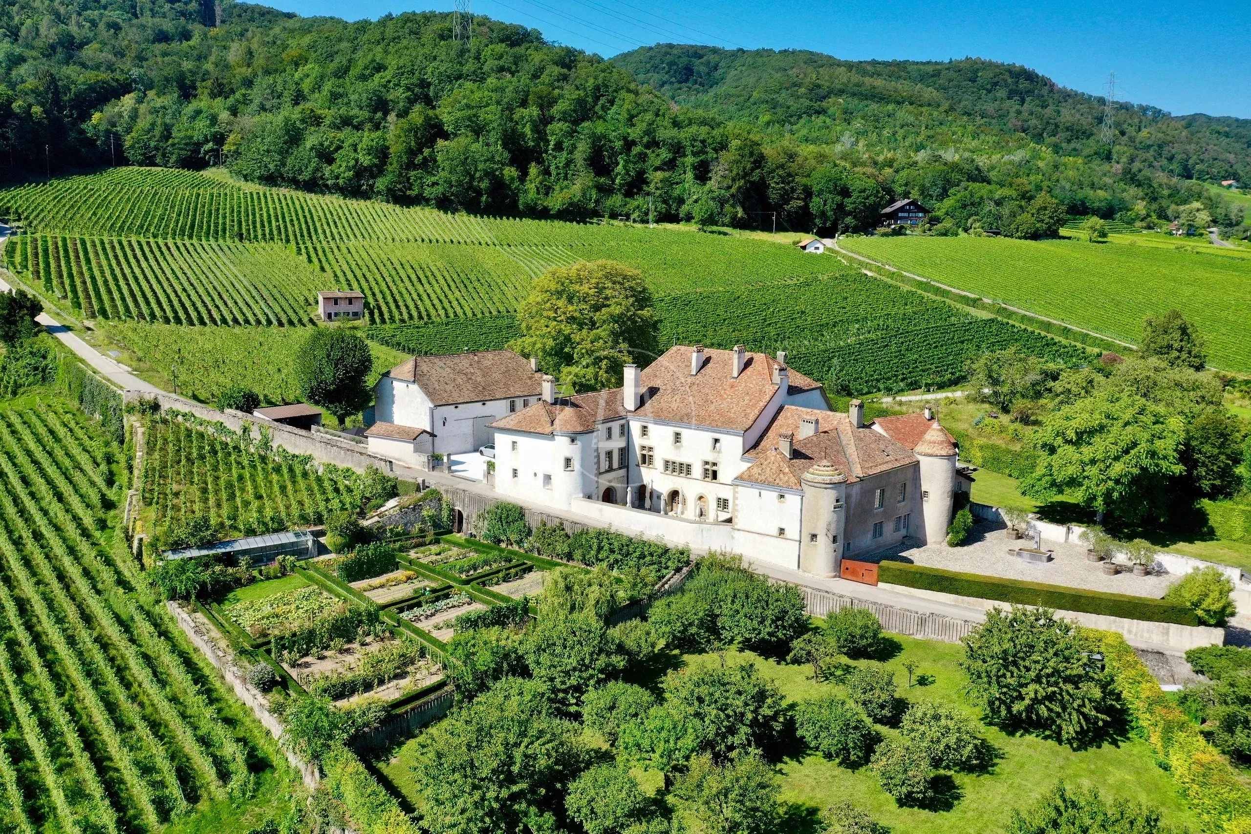 Luftaufnahme eines Landguts im Weinberg