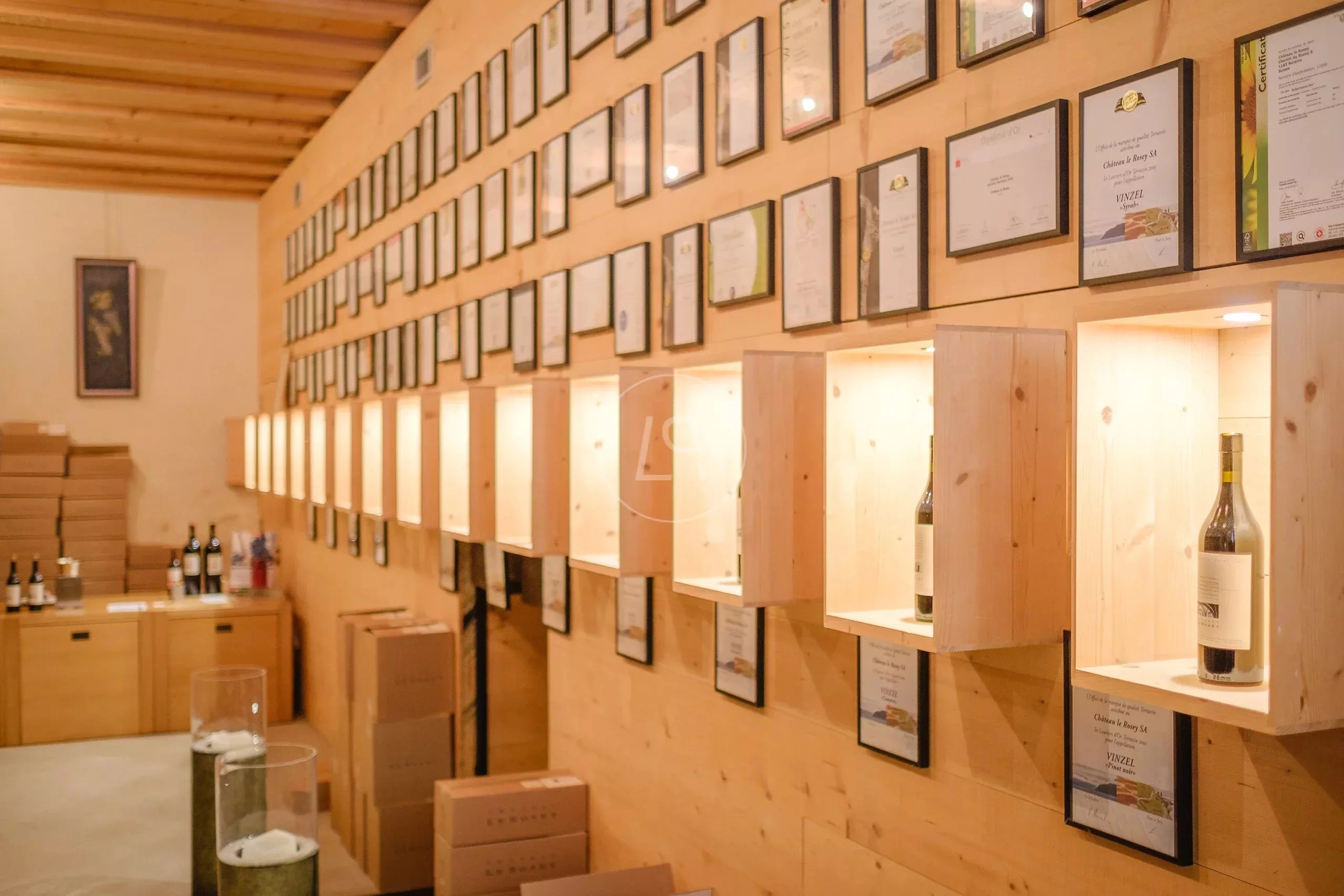 Weinkeller mit Ausstellungsregal