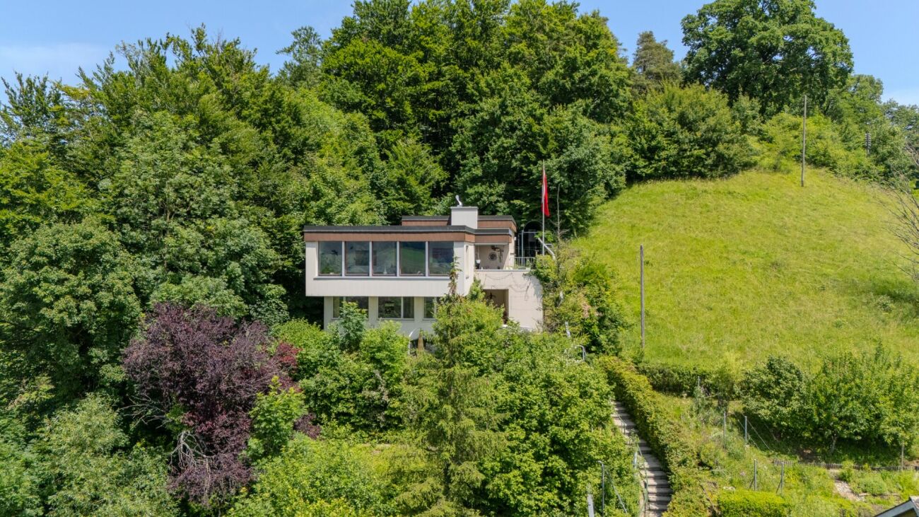Modernes Haus im Grünen