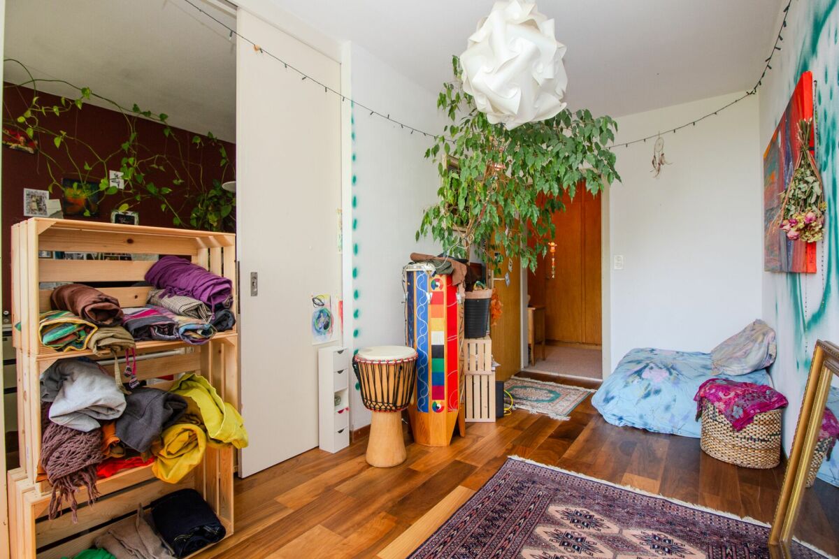 Innenraum mit Pflanzen und Holzfußboden