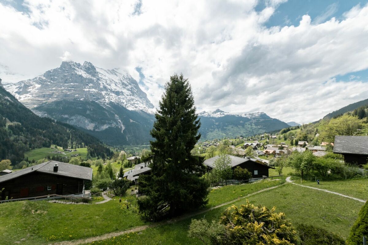 Alpenblick mit Bergdorf und Wiese