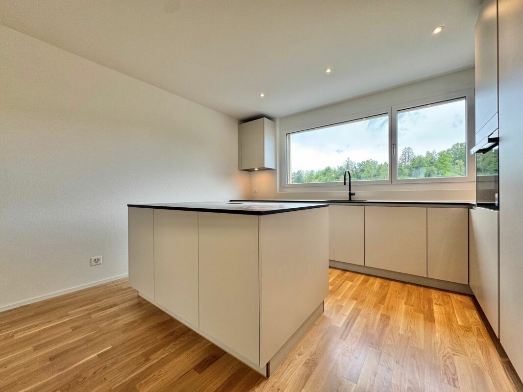 Moderne Küche mit Insel und Fensterblick