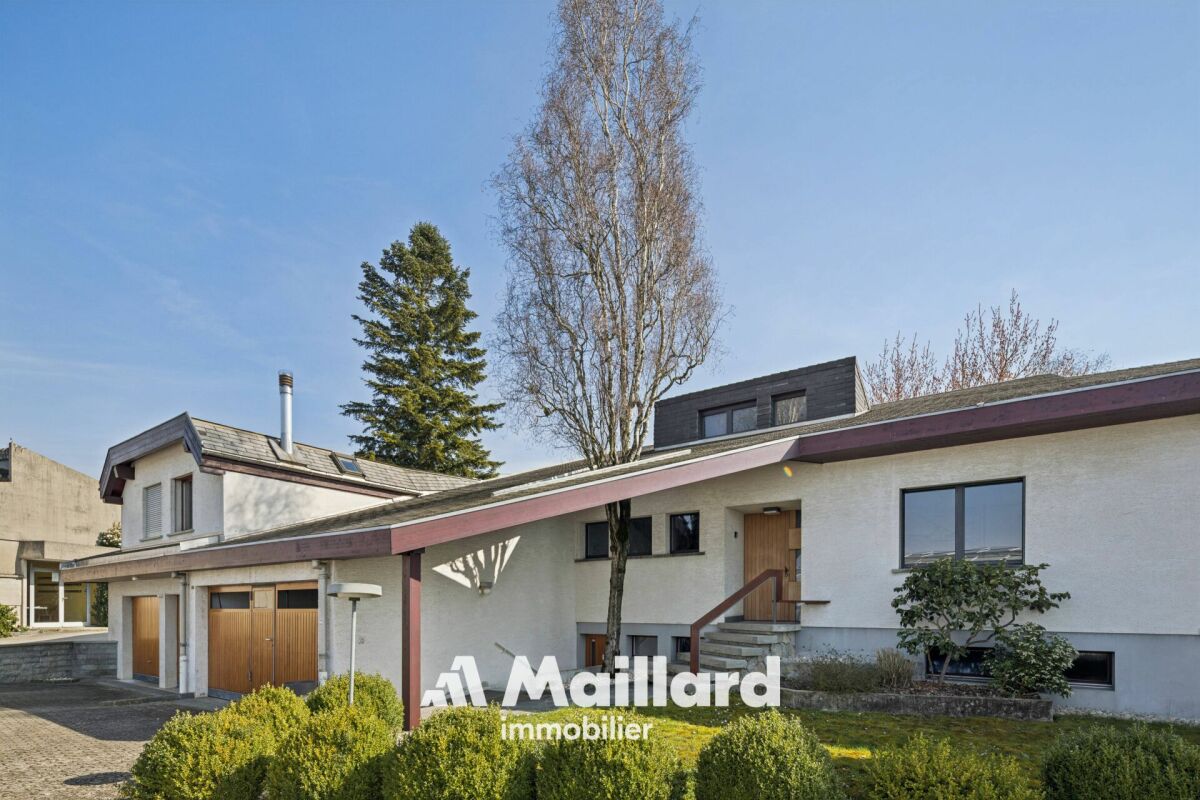 Modernes Einfamilienhaus mit asymmetrischem Dach