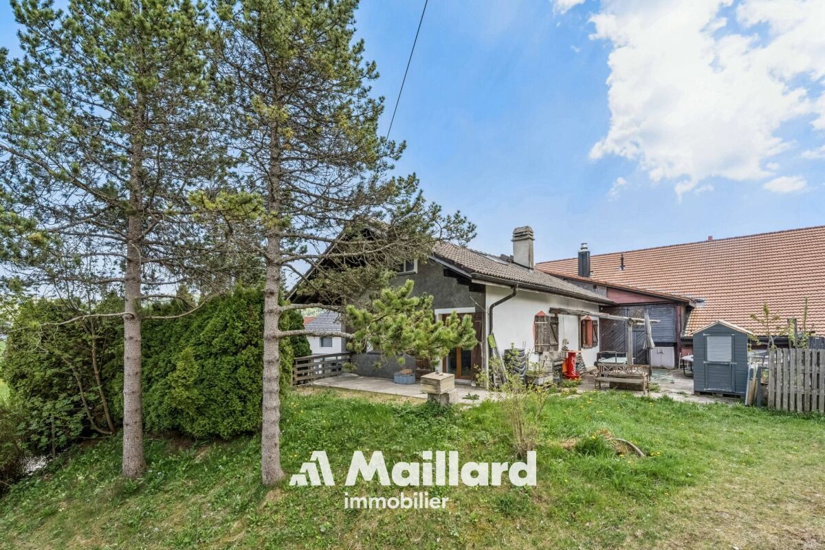 Gartenansicht eines Hauses mit Terrasse