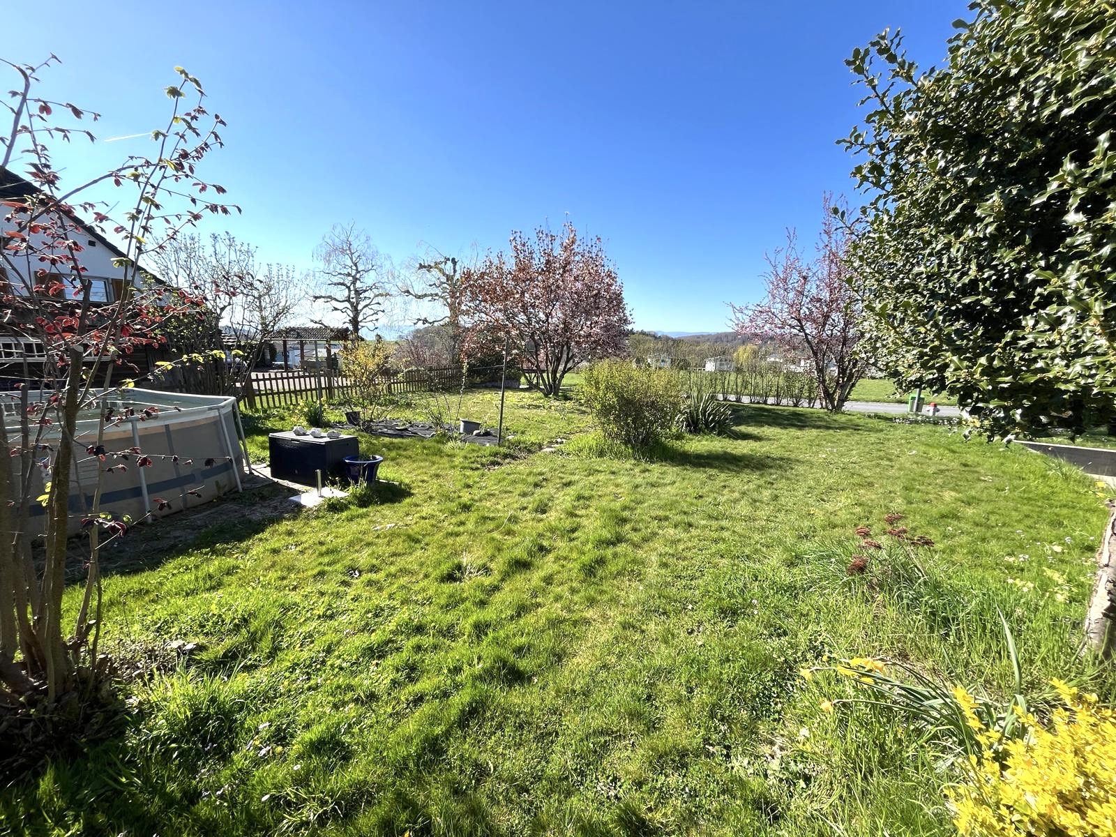 Großer Garten mit Rasen und Bepflanzung