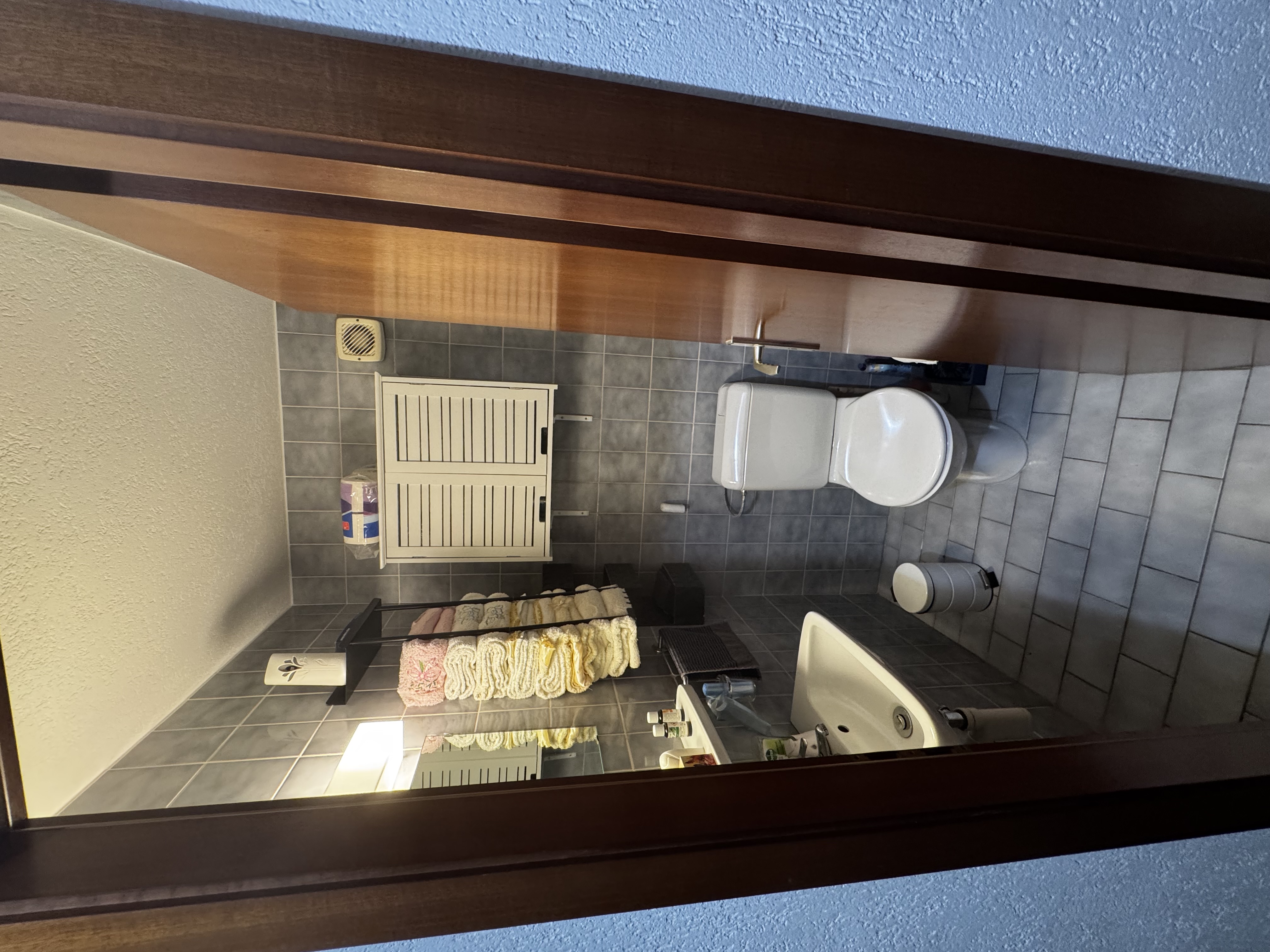 Kleines innenliegendes WC mit Dusche/Sanitärbereich