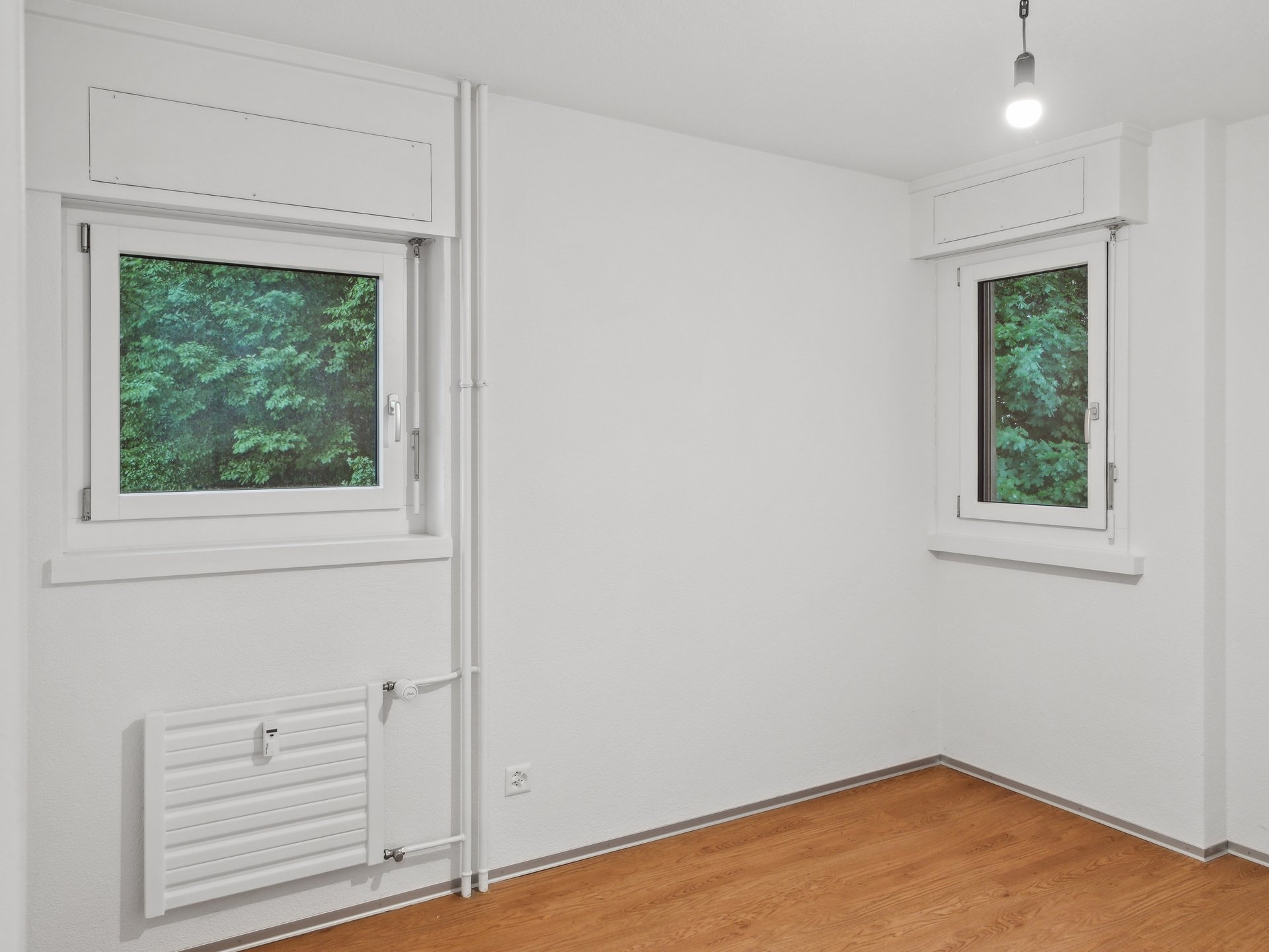 Leerer, hell gestrichener Raum mit zwei Fenstern und Holzfußboden