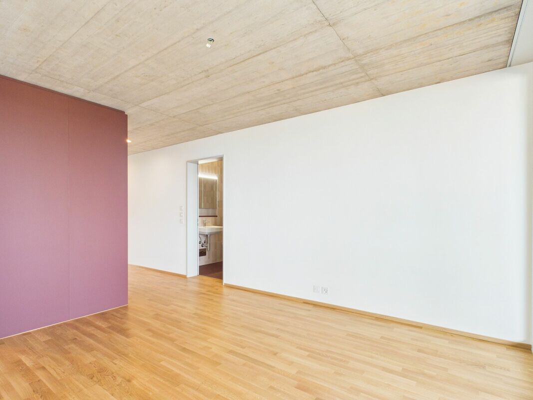 Heller Wohnraum mit Holzdecke und farbiger Akzentwand
