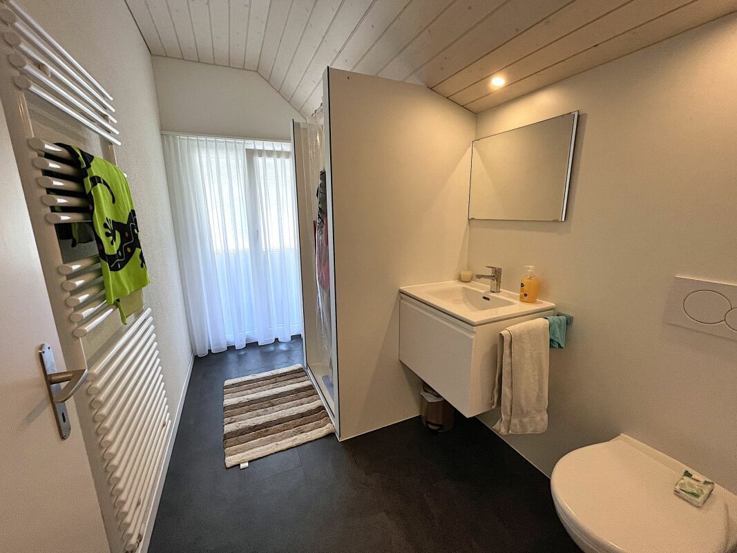 Modernes Bad/WC mit Waschtisch und Duschebereich