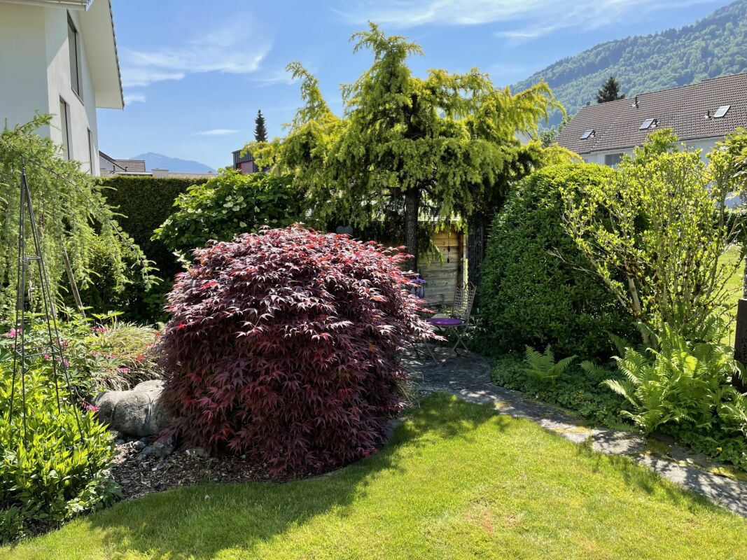 Üppiger Garten mit Bergblick