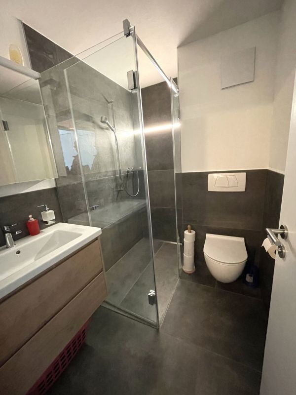 Modernes Bad mit begehbarer Dusche und WC