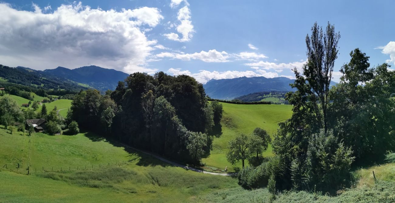 Landschaft mit Bergpanorama