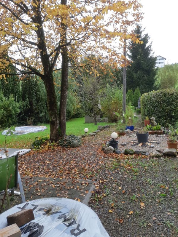 Garten mit Herbstlaub und Grünfläche