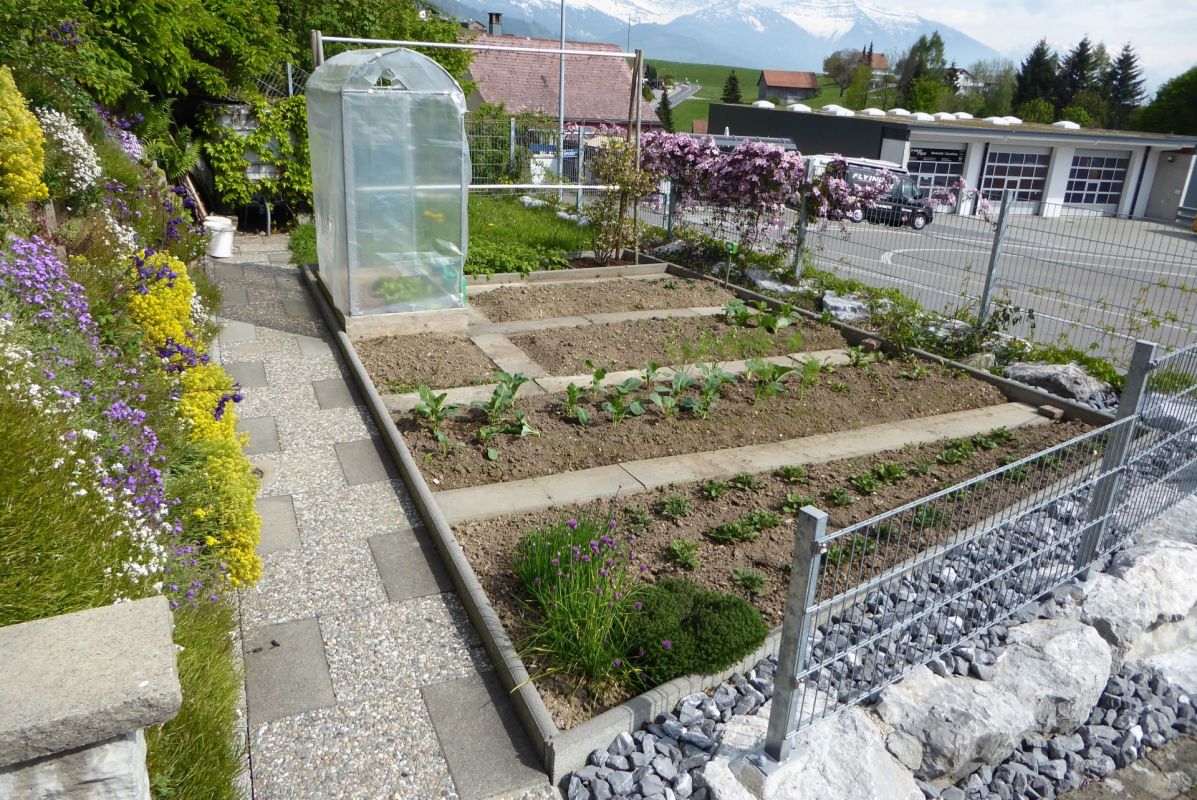 Garten mit Hochbeeten und Gewächshaus