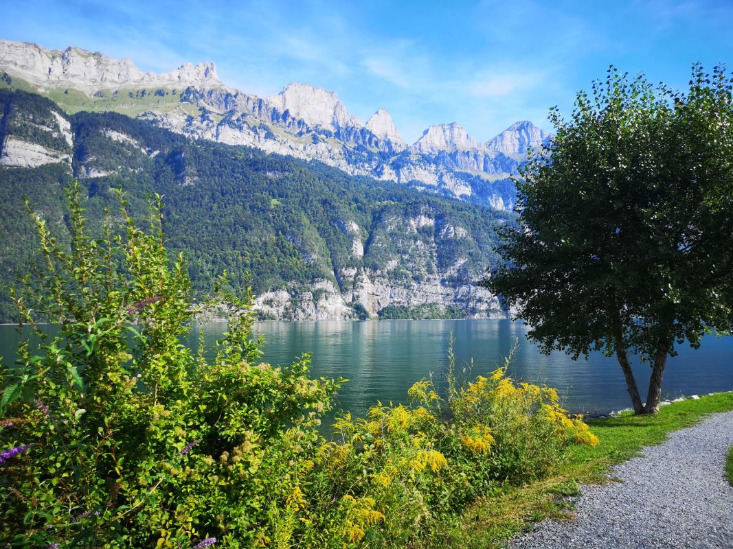 Alpenlandschaft am See