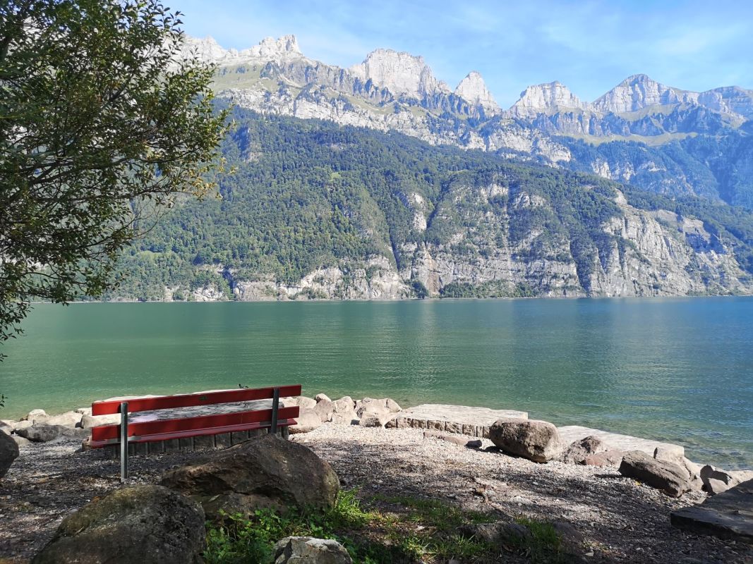 Seeufer mit Bergpanorama und Bank
