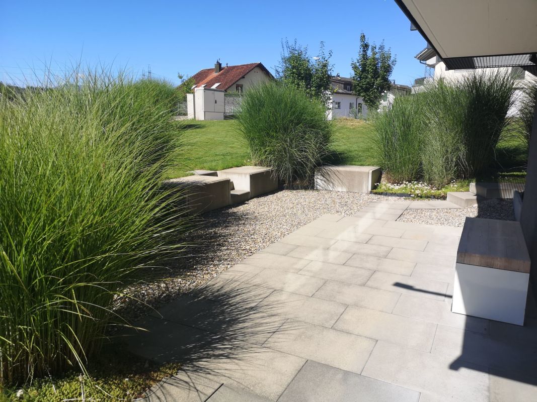 Moderner Gartenbereich mit Terrassenplatten und Ziergräsern