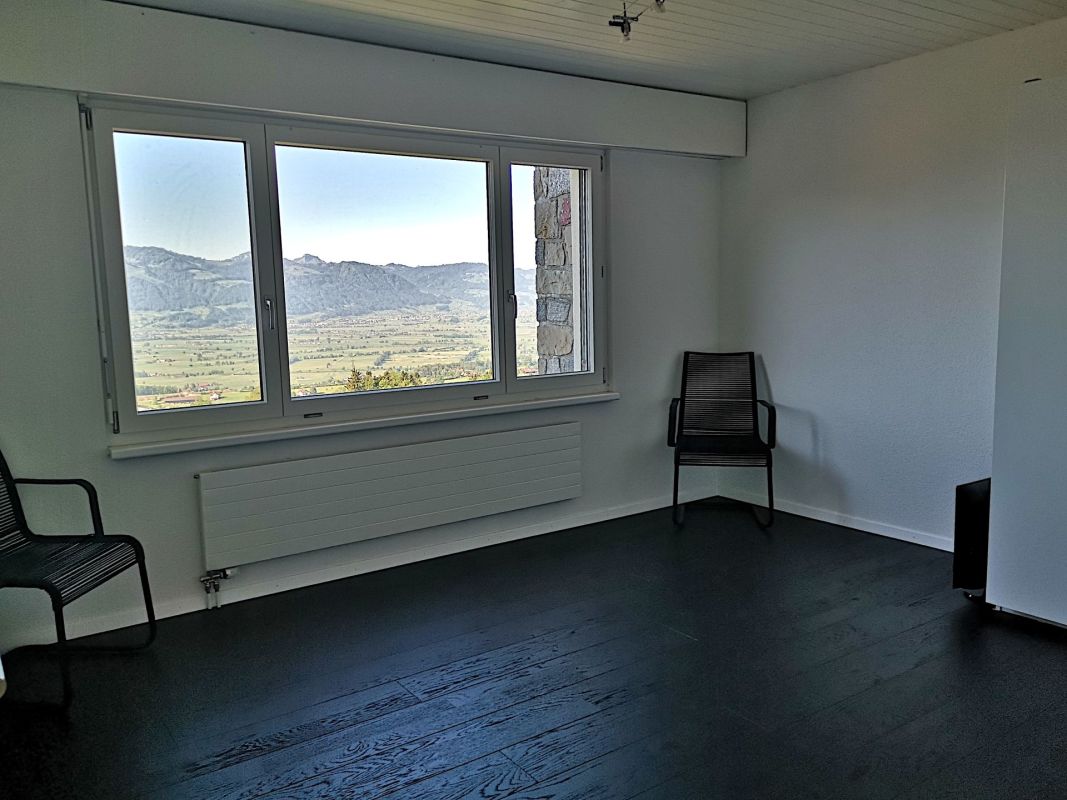 Heller leerer Raum mit Bergblick