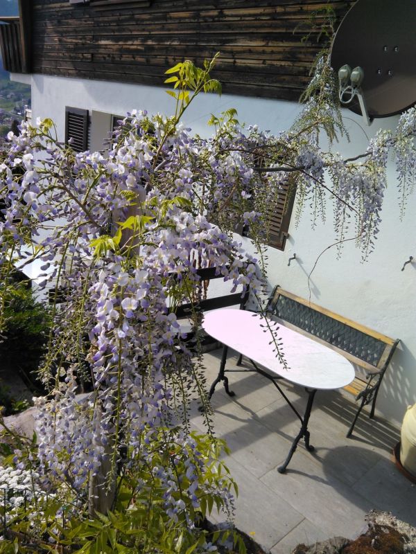 Blühende Terrasse mit Sitzbank und Tisch