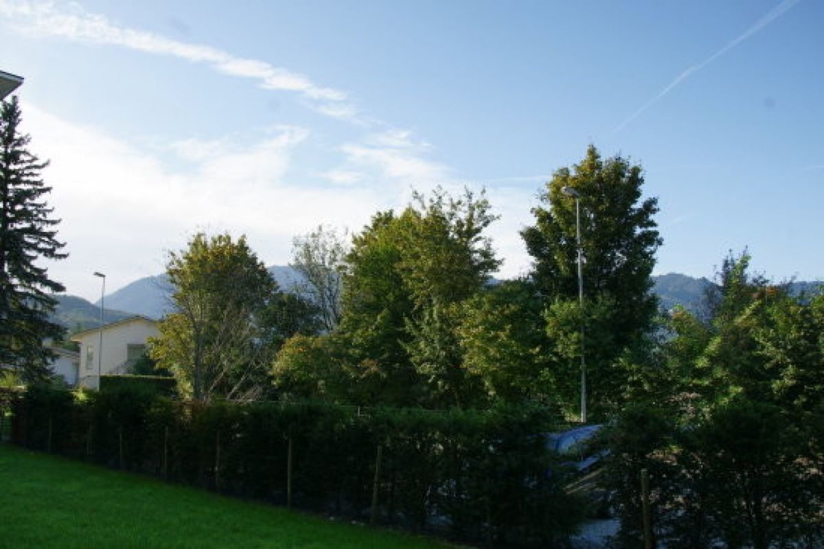 Gartenblick mit Bergen