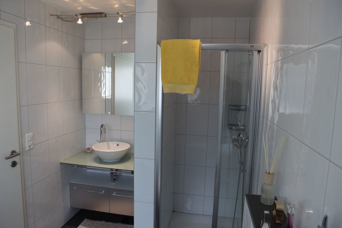 Modernes kleines Badezimmer mit Dusche und Waschtisch