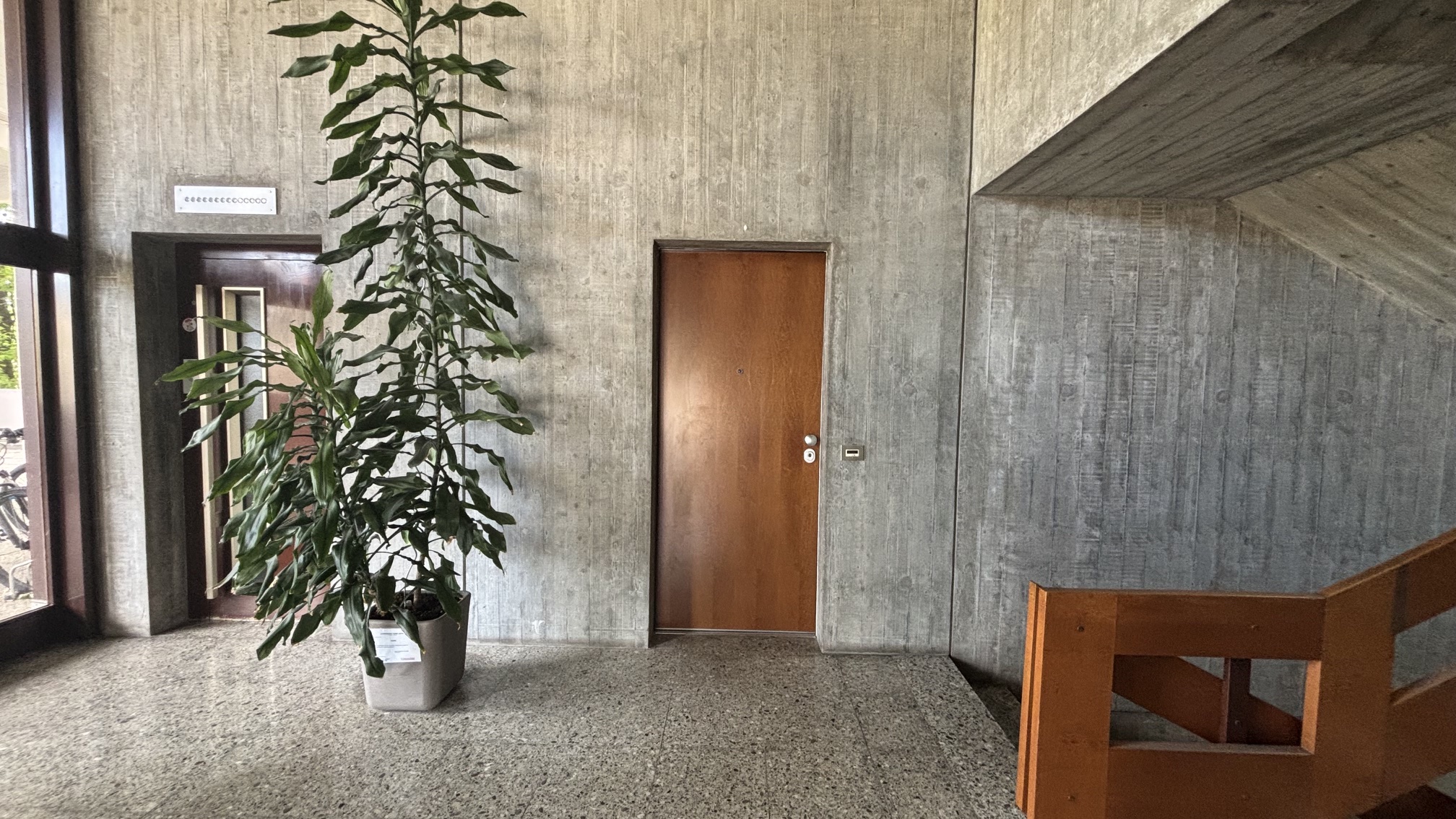 Betonierter Eingangsbereich mit Pflanzen