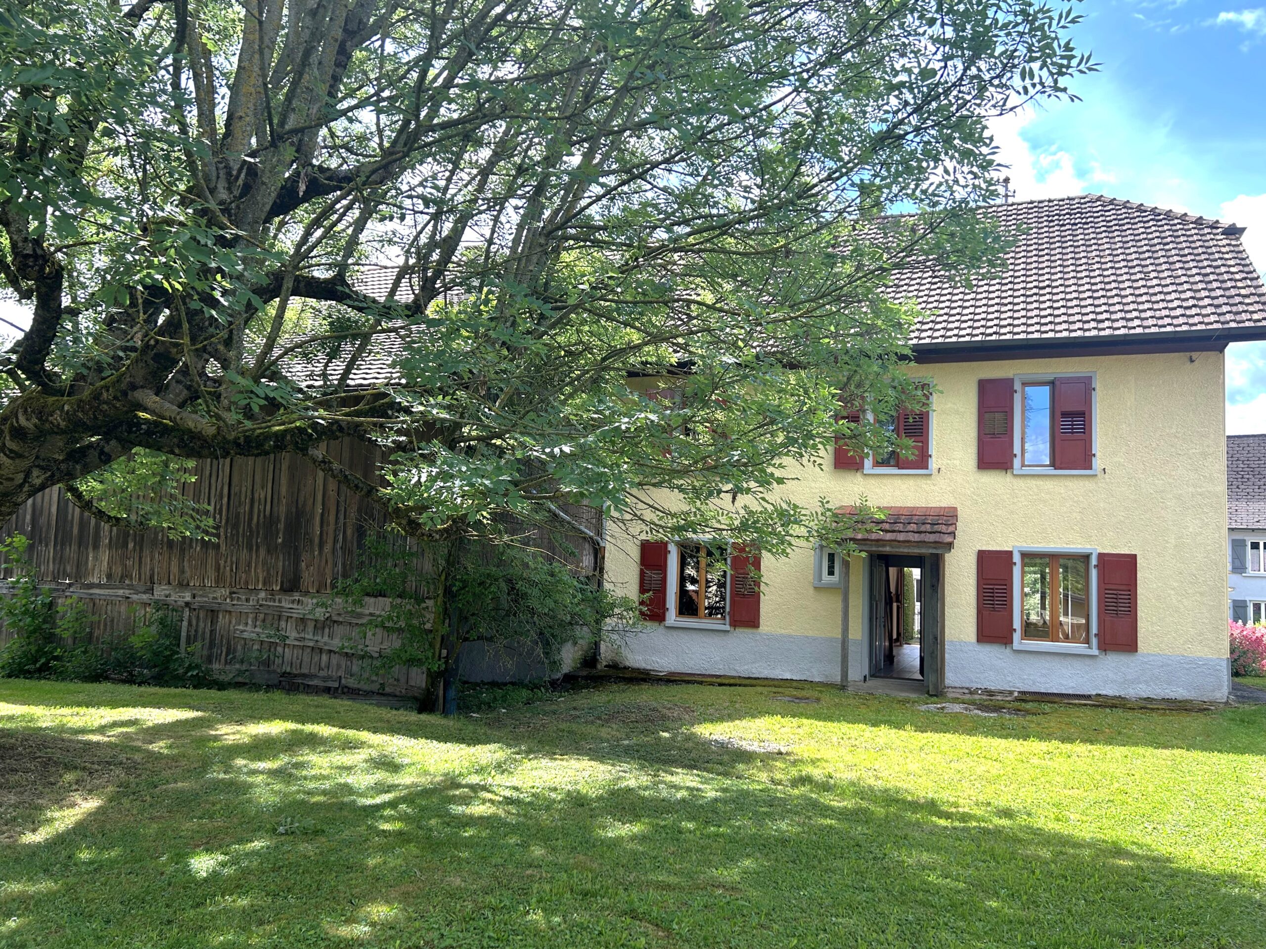 Einfamilienhaus mit Garten und Baum im Vordergrund