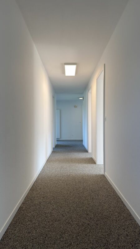 Flur mit weiß gestrichenen Wänden und Teppichboden