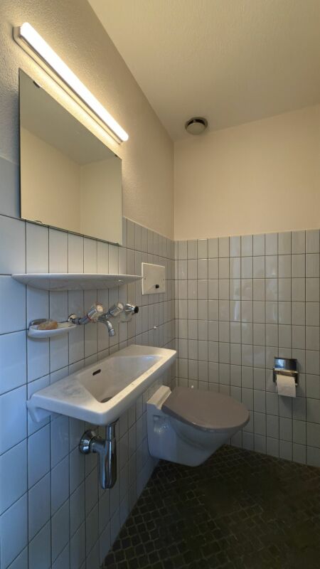 Gäste-WC mit Wand-WC und Waschbecken
