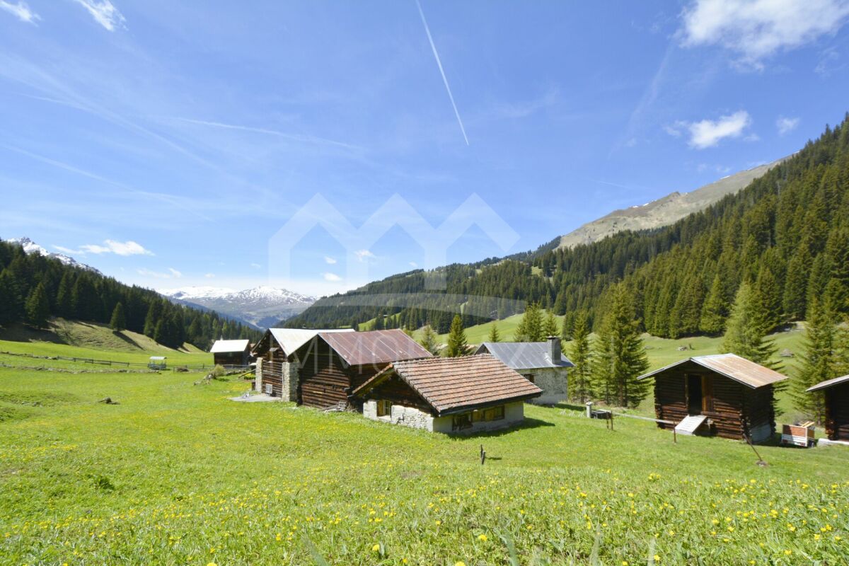 Almhütten in alpiner Berglandschaft
