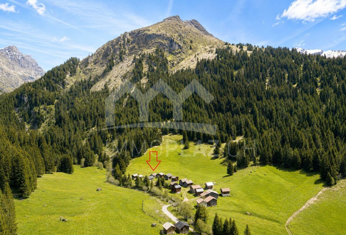 Alpine Wiesenlandschaft mit Berghäusern