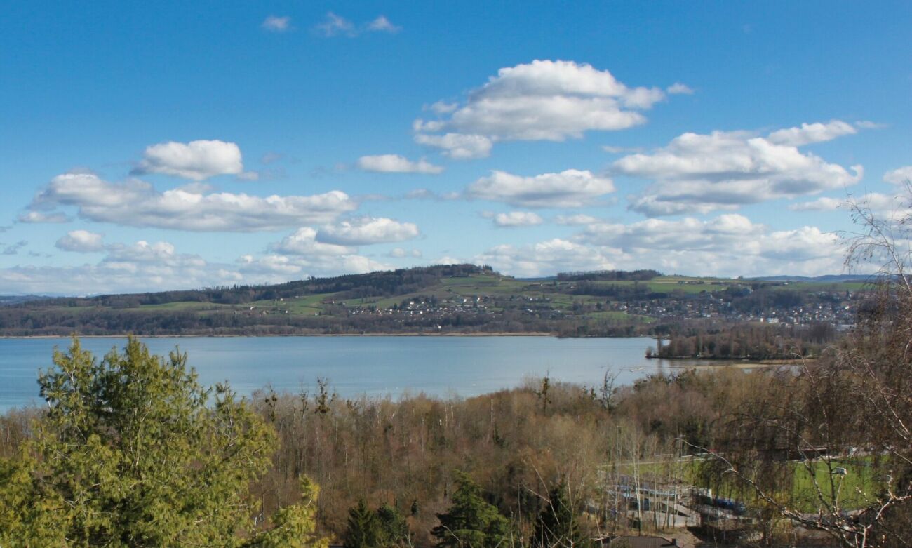 schöne Wohnung mit herrlichem Seeblick – Yverdon-les-Bains