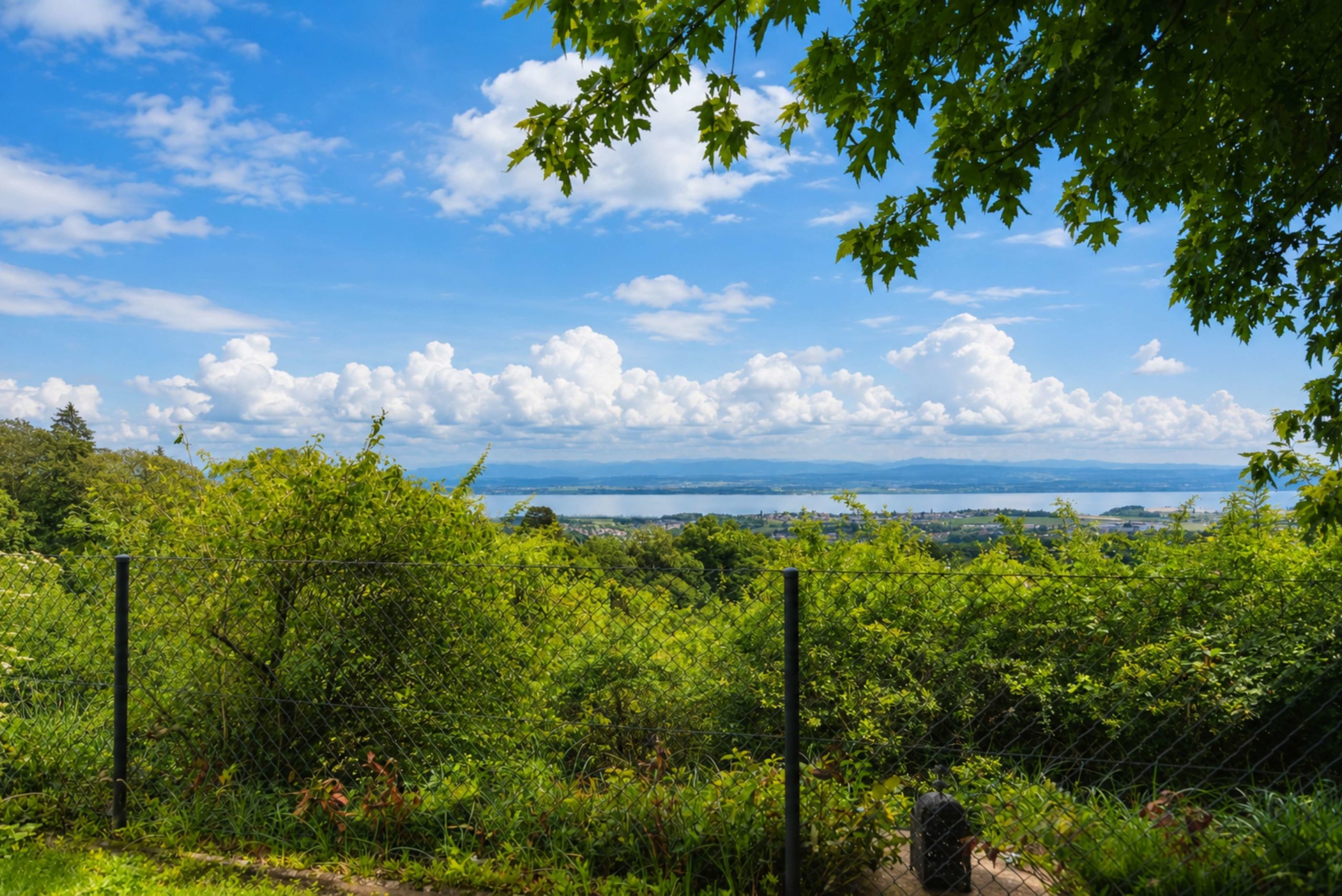 Landschaft mit Seeblick