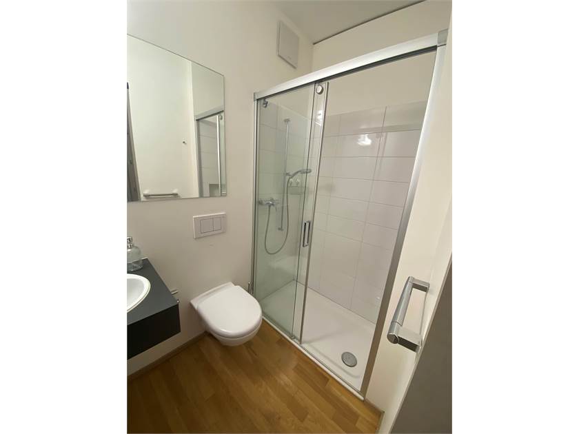Kleines modernes Badezimmer mit Dusche und WC