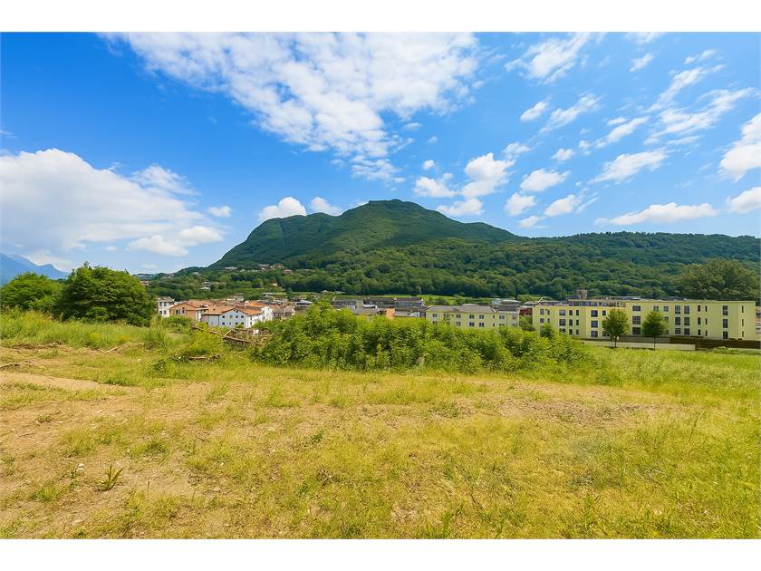 Berglandschaft mit Wiese und Wohnsiedlung