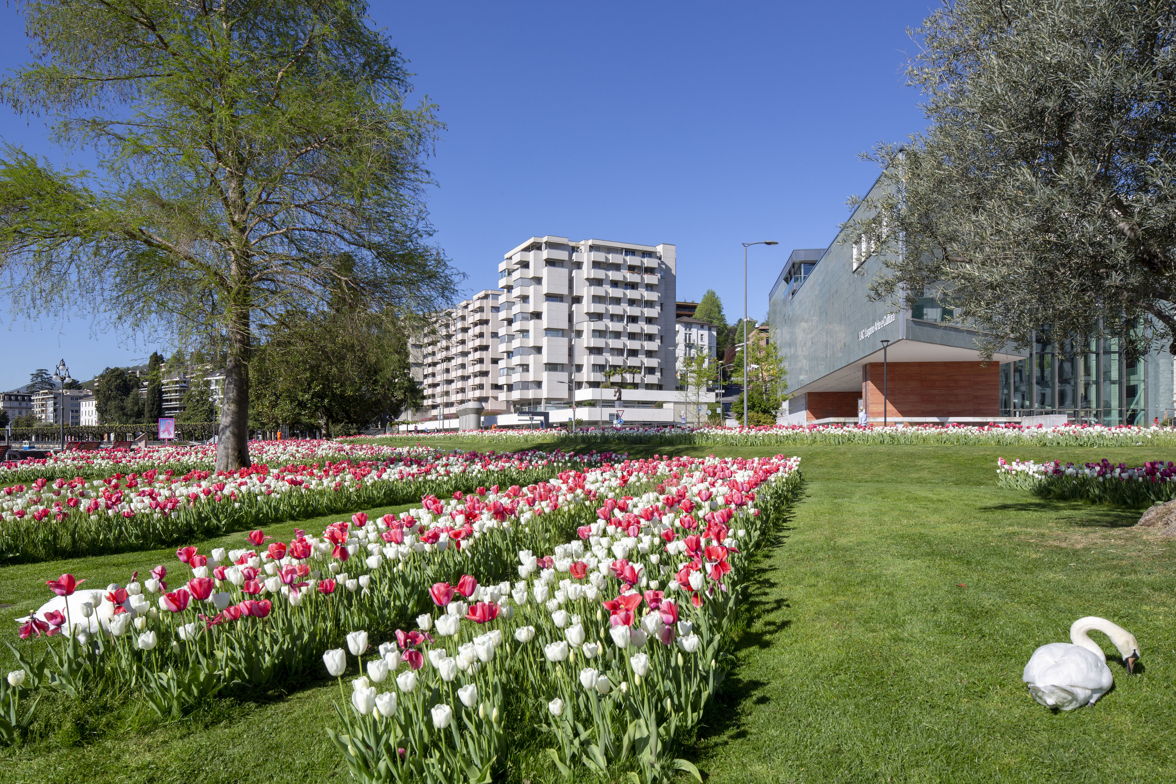 Städtische Parkanlage mit Blumenbeeten und moderner Bebauung