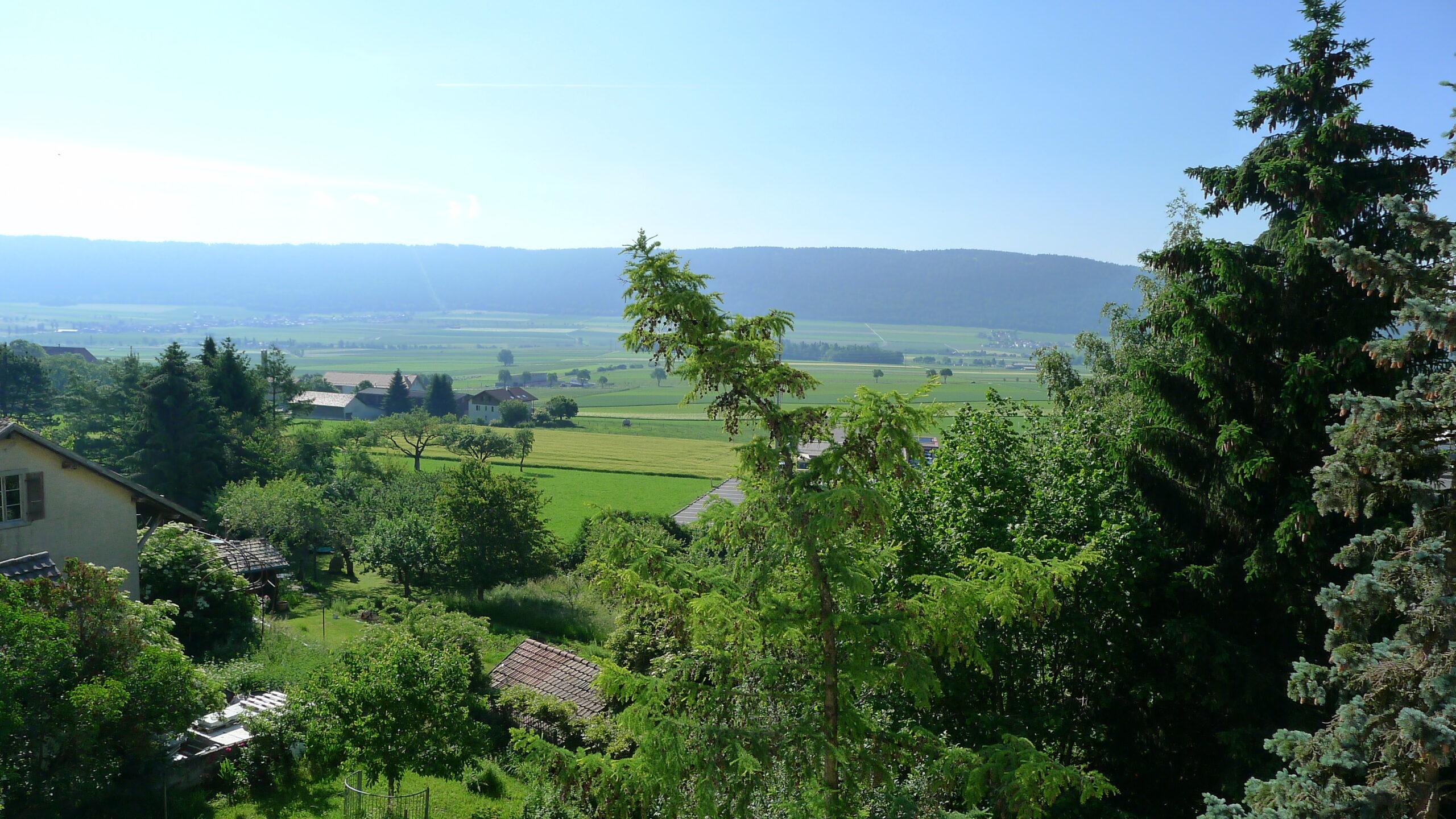 Landschafts- und Gartenblick über ein grünes Tal