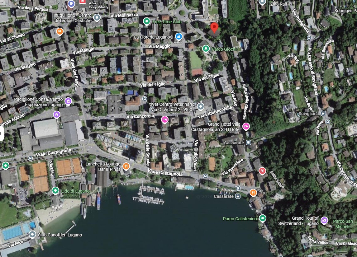 Luftbild eines Stadtteils am See