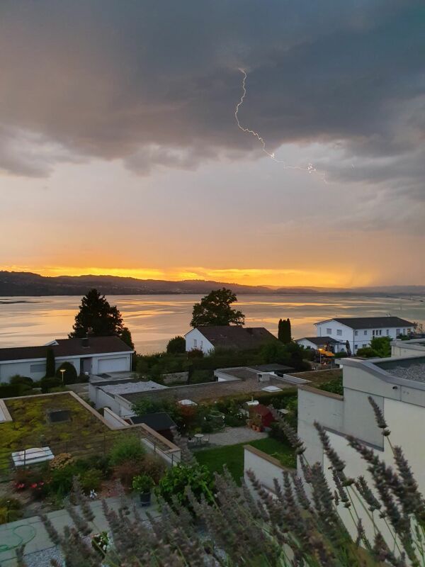 Sonnenuntergang über einer Wohnsiedlung am Wasser
